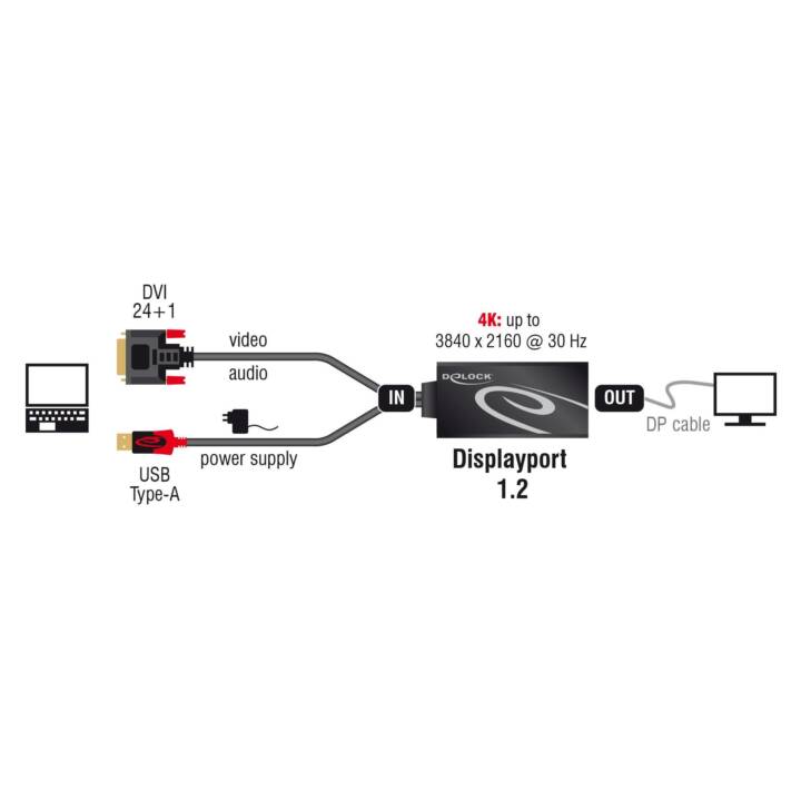 DELOCK Convertisseur vidéo (DVI-D, USB Type-A)
