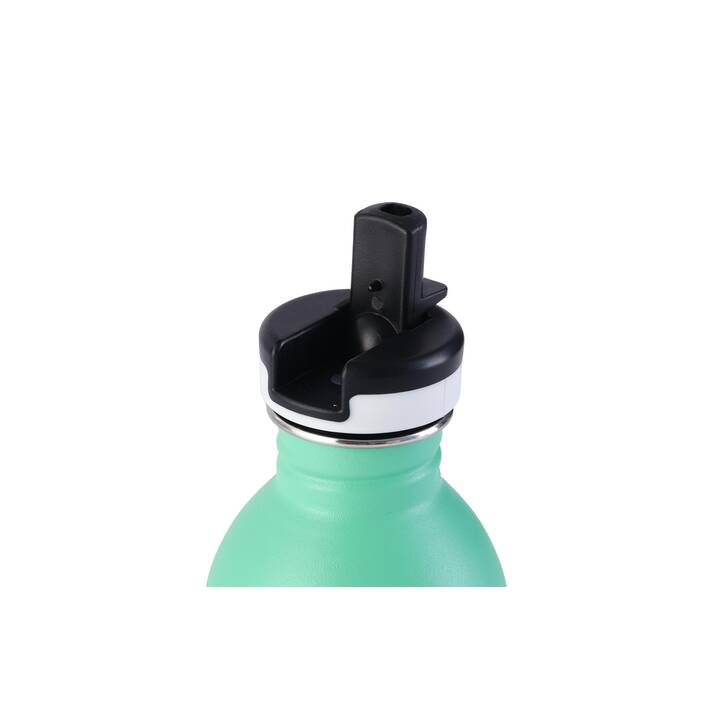 NOODOLL X 24BOTTLES Thermo Trinkflasche Ricedino (250 ml, Grün)