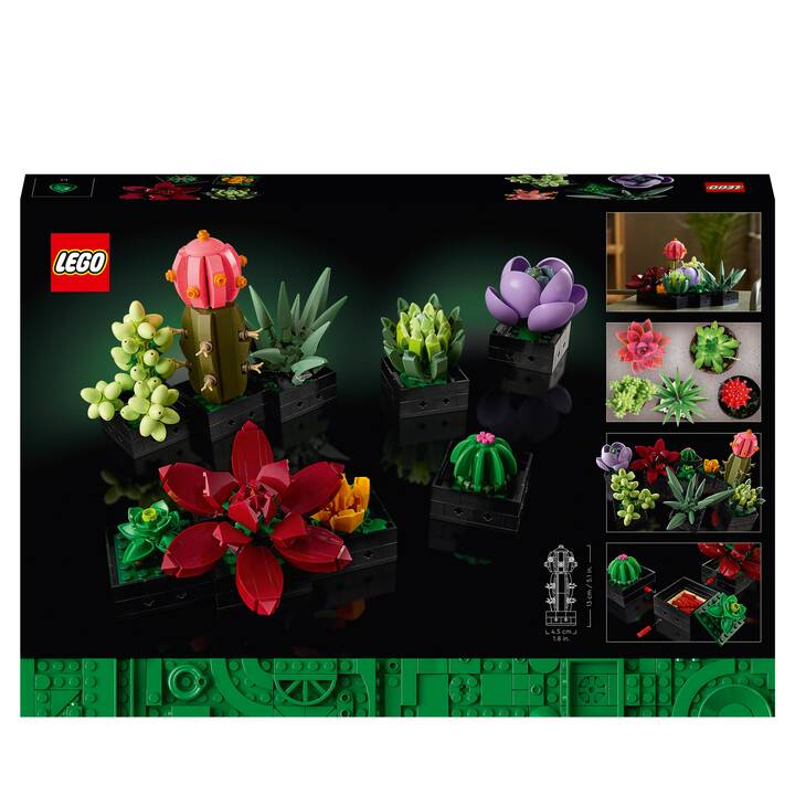 LEGO Icons Les succulentes (10309, Difficile à trouver)