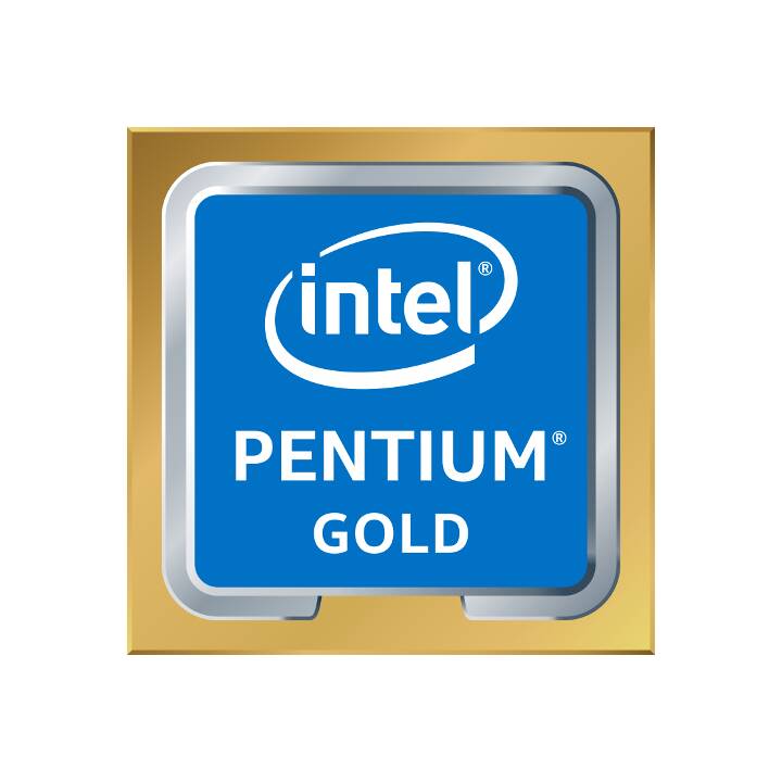 INTEL Pentium Gold G6600 (LGA 1200, 4.2 GHz)