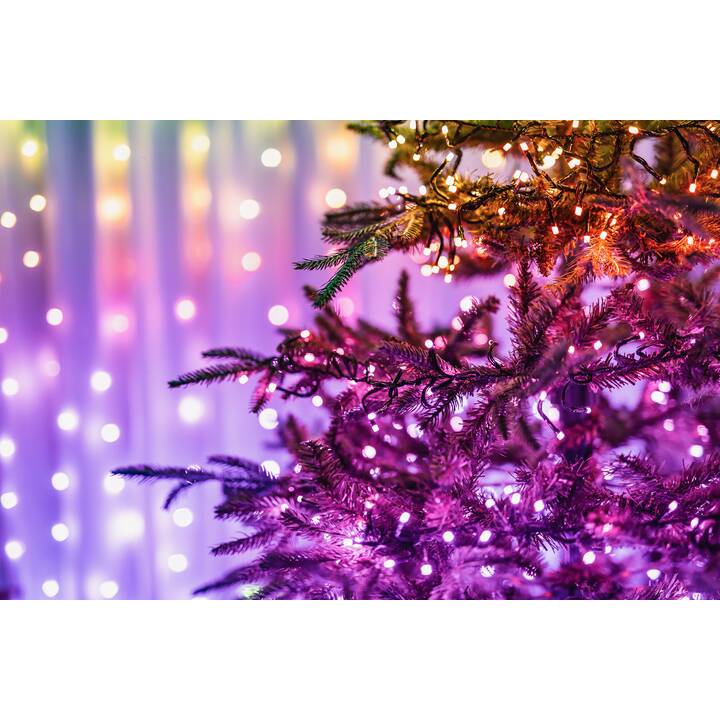 TWINKLY Guirlande électrique String 250 (250 LEDs)