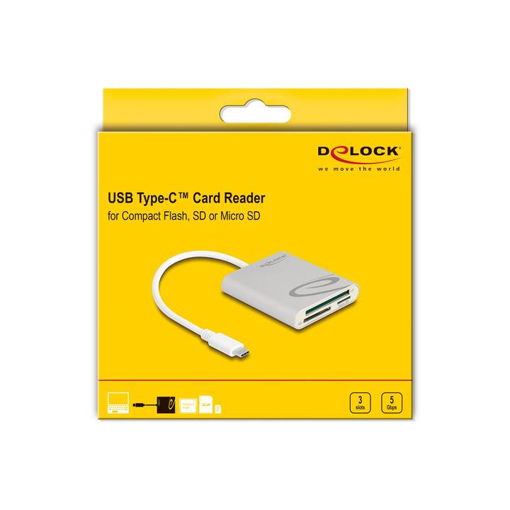 DELOCK 91005 Lettore di schede (USB Tipo C)