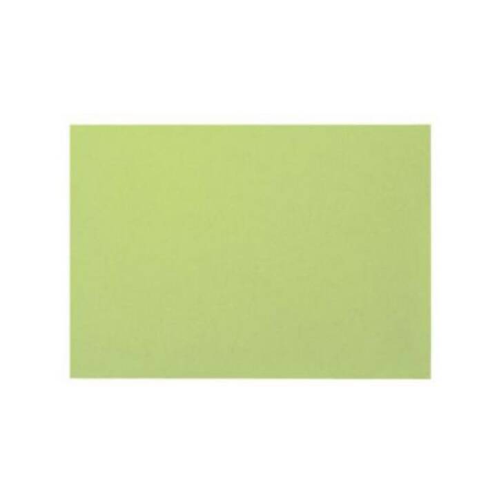 BIELLA Scheda per schedario (A6, Verde, In bianco, 100 pezzo)