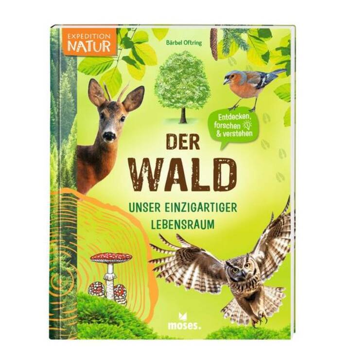 Der Wald