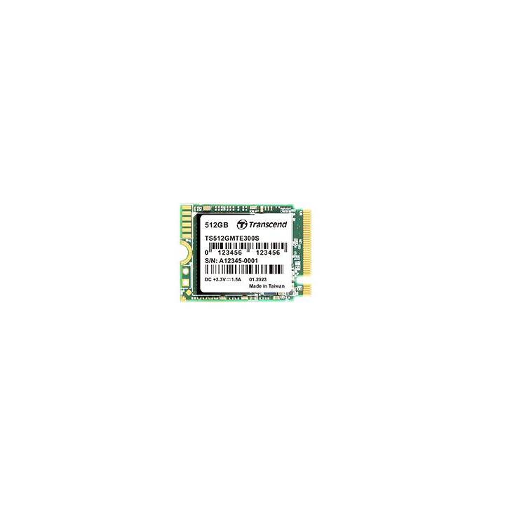 TRANSCEND TS512GMTE300S (PCI Express, 512 GB)