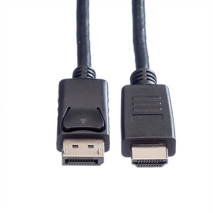 ROLINE Câble de connexion (Port écran, HDMI, 1 m)