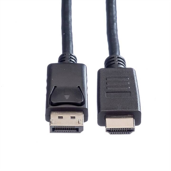 ROLINE Verbindungskabel (DisplayPort, HDMI, 1 m)