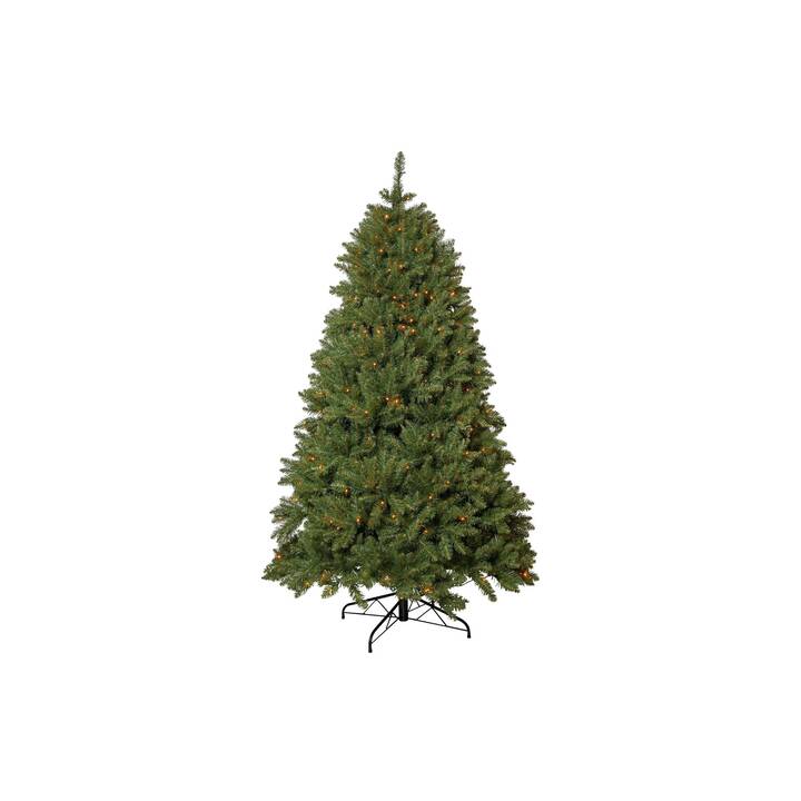 STAR TRADING Albero di Natale (210 cm)