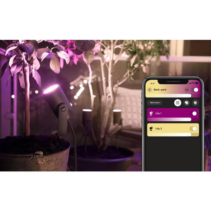 PHILIPS HUE Bornes lumineuses Lily Set + Bridge (16 W, Noir, Blanc)