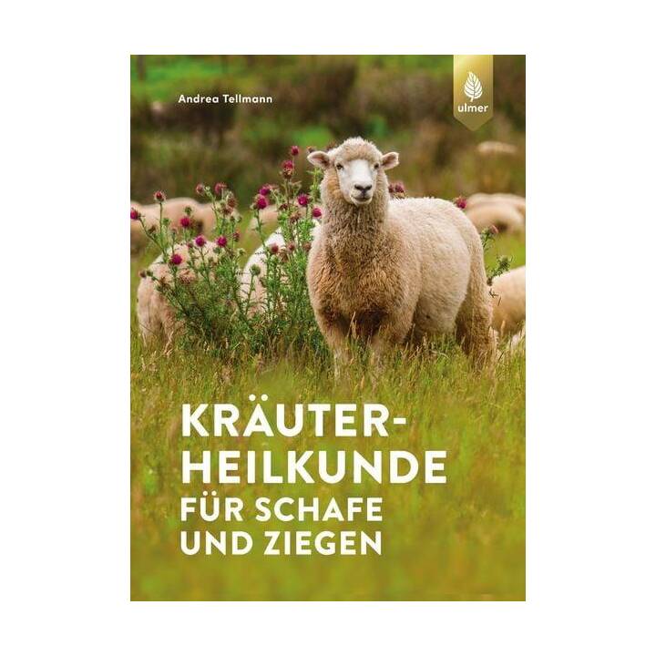 Kräuterheilkunde für Schafe und Ziegen