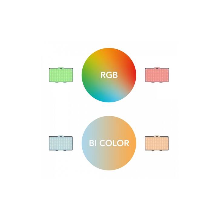 WALIMEX Rainbow Pocket RGBWW Commande d'exposition (Noir, 125 x 75 mm)