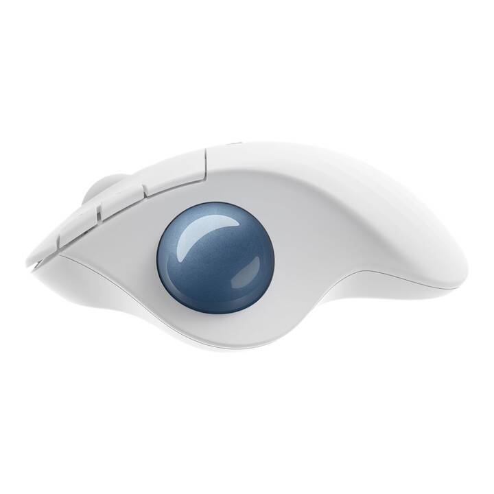 LOGITECH Ergo M575 Mouse (Senza fili, Office)