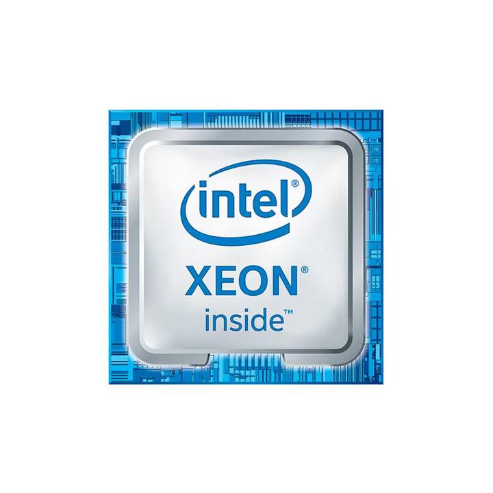 DELL PowerEdge T350 RW9J2 (Intel Xeon E, 16 GB, 2.9 GHz)
