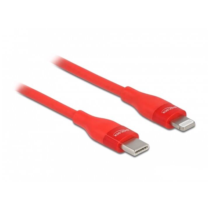 DELOCK Câble (Lightning, USB-C, 0.5 m)