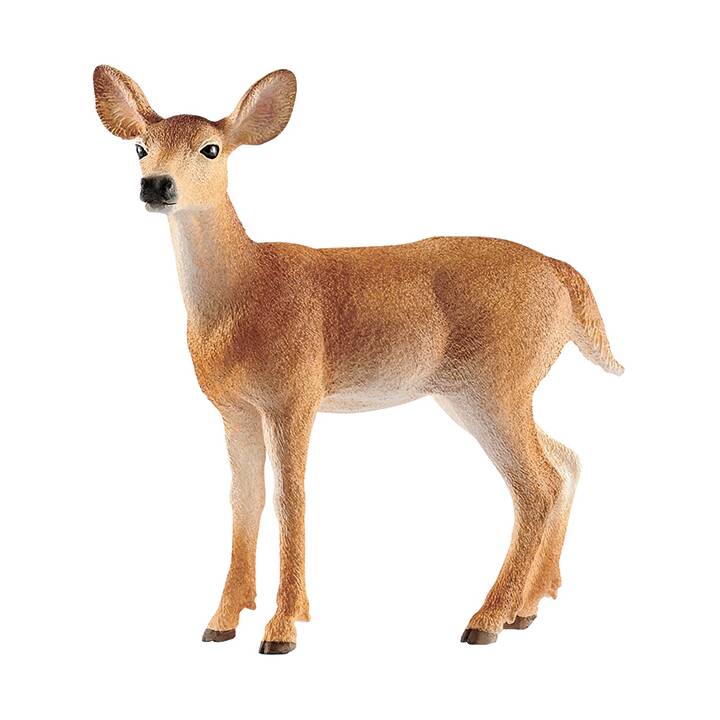 Schleich 14253 – Cervo Wild Life, Figurina Realistica Dipinta A Mano, Per Bambini E Collezionisti