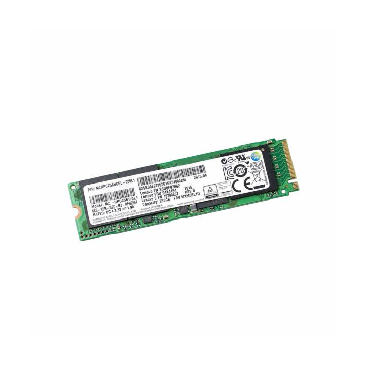 LENOVO 4XB0M52449 (PCI Express, 256 GB)