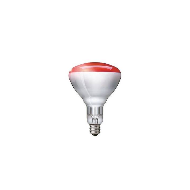 PHILIPS Lampes infrarouges BR125 (250 W)