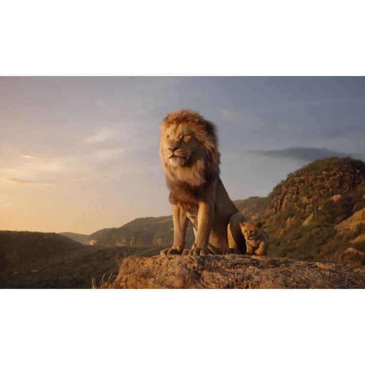Der König der Löwen (DE, EN, FR, ES)