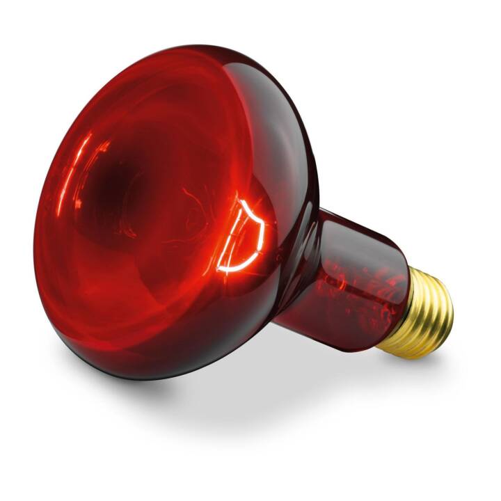 BEURER Infrarotlampe (100 W)