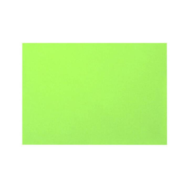 BIELLA Scheda per schedario (A7, Verde, In bianco, 100 pezzo)