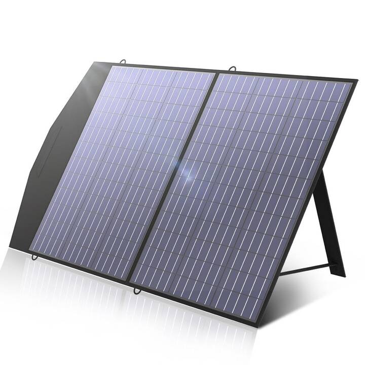 EG  Solarpanel (100 W)