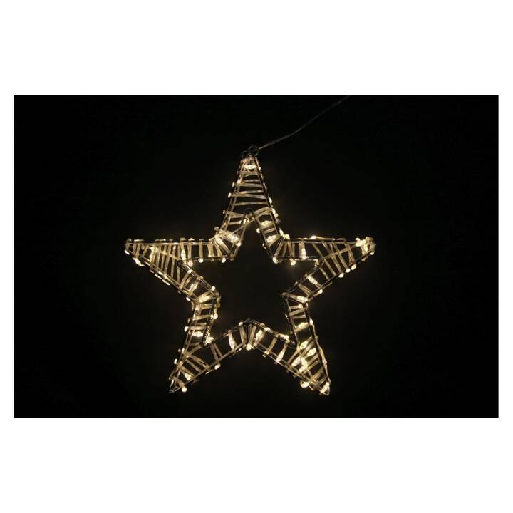 DAMECO Figurine lumineuse de Noël (Étoile, 100 LEDs)