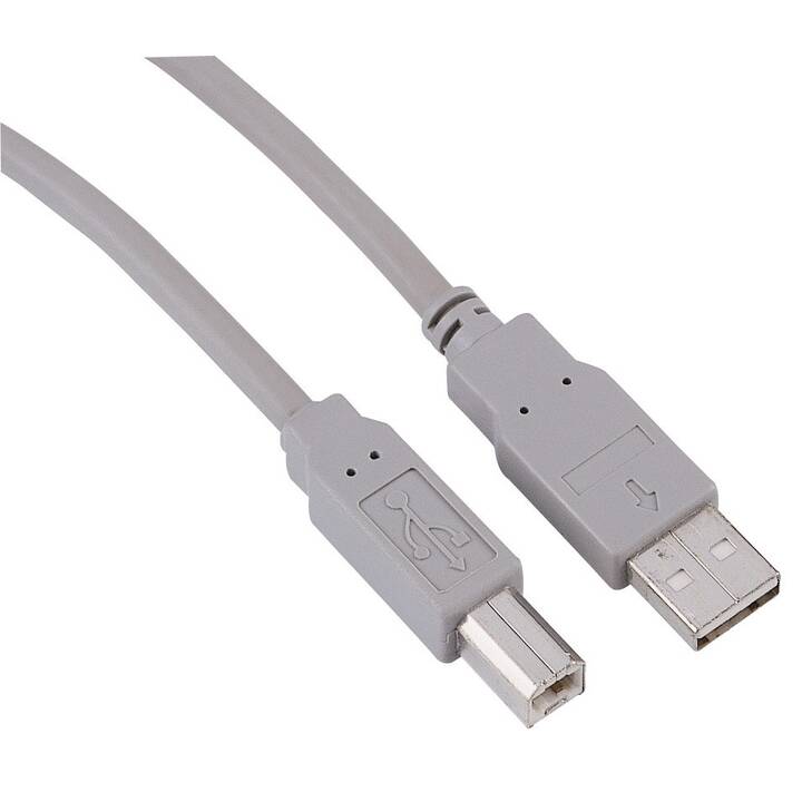INTERTRONIC Cavo USB (USB Tipo-B, USB Typ-A, 5 m)