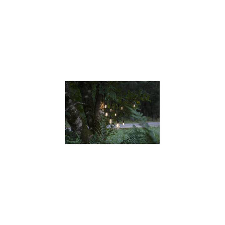 STAR TRADING Guirlande lumineuse Party (10 LEDs, 360 cm)