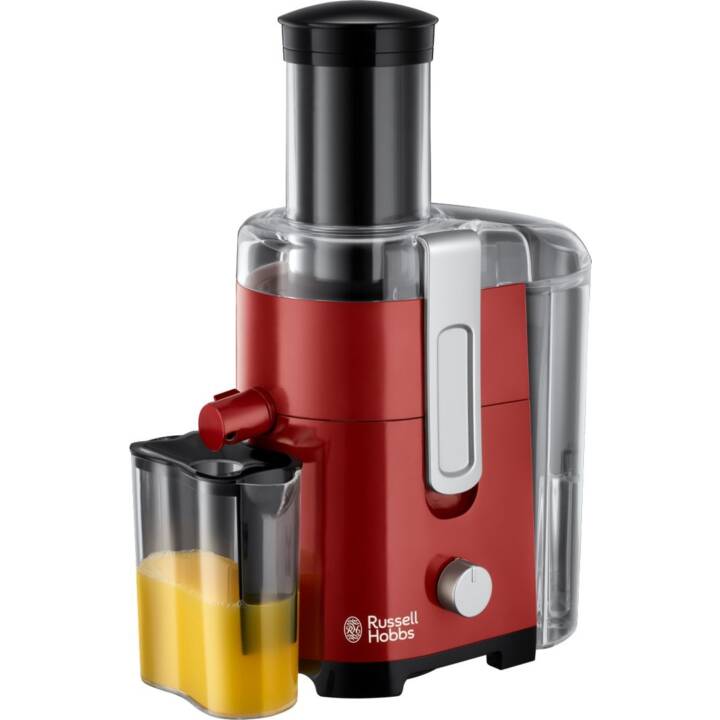 RUSSELL HOBBS Desire (550 W)