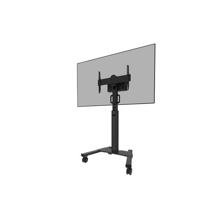 NEWSTAR TV Ständer FL50S-825BL1