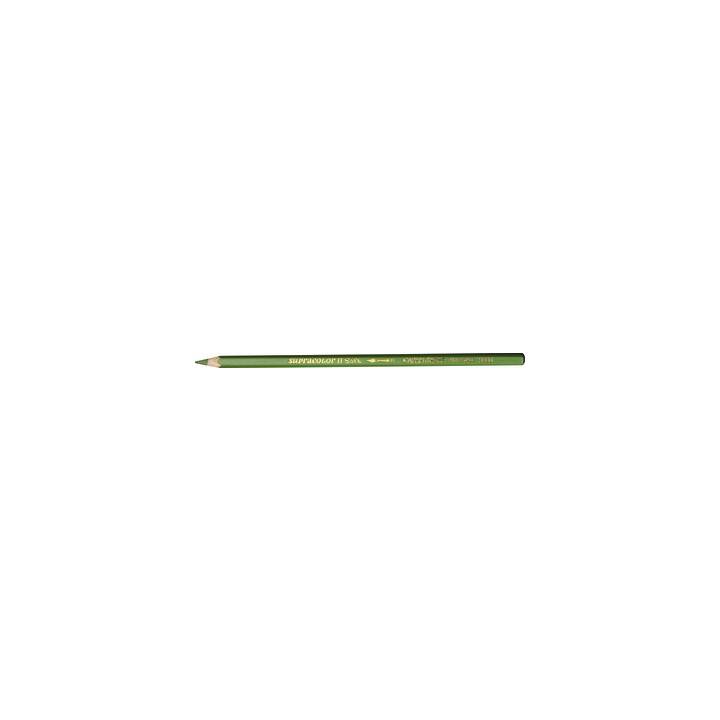 CARAN D'ACHE Crayons de couleur Resedagrün 018 (Vert, 1 pièce)