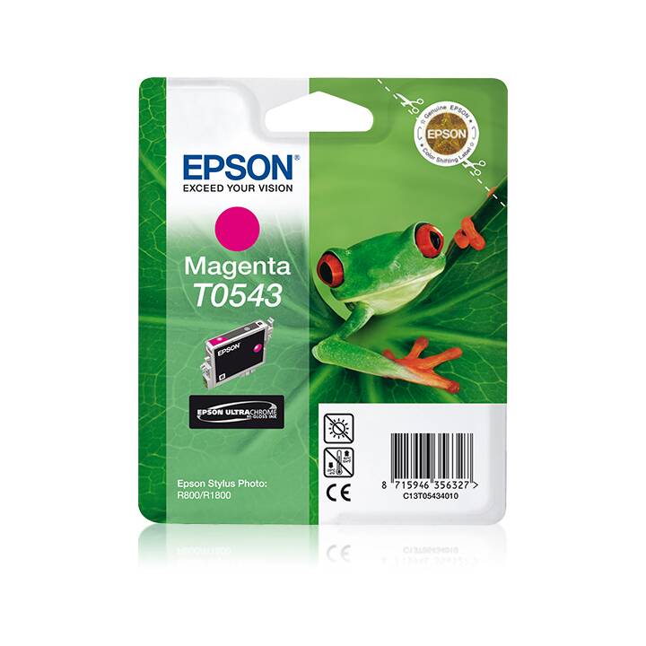 EPSON T0543 (Magenta, 1 Stück)