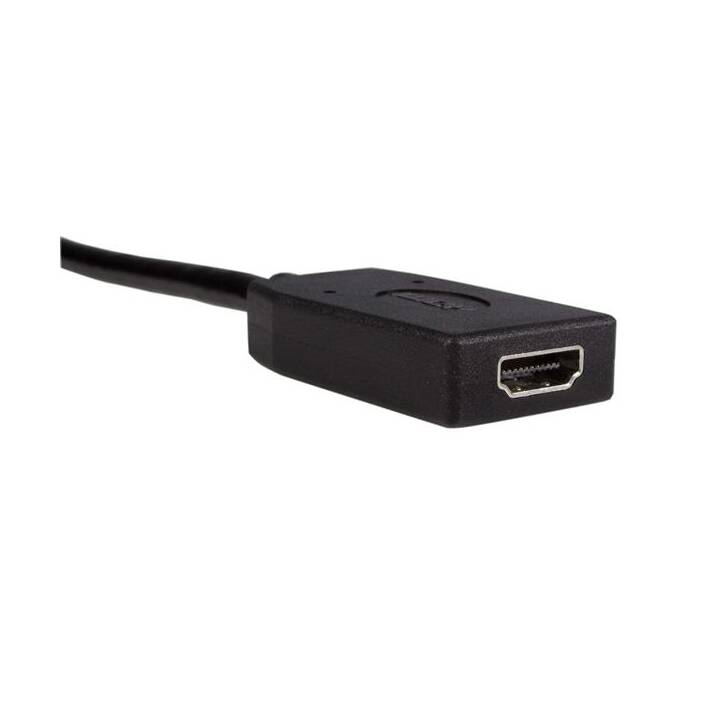 STARTECH DisplayPort / HDMI - 24 cm
