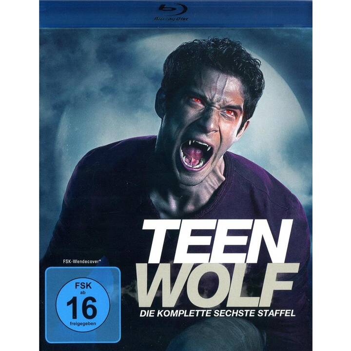 Teen Wolf Staffel 6 (Softbox, DE, EN)