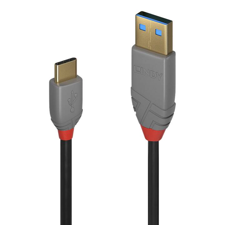 LINDY USB-Kabel (USB 2.0 Typ-C, USB 2.0 Typ-A, 2 m)