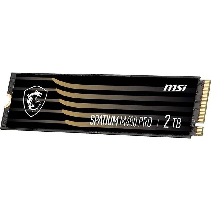 MSI Spatum M480 Pro (PCI Express, 2 TB, Schwarz)
