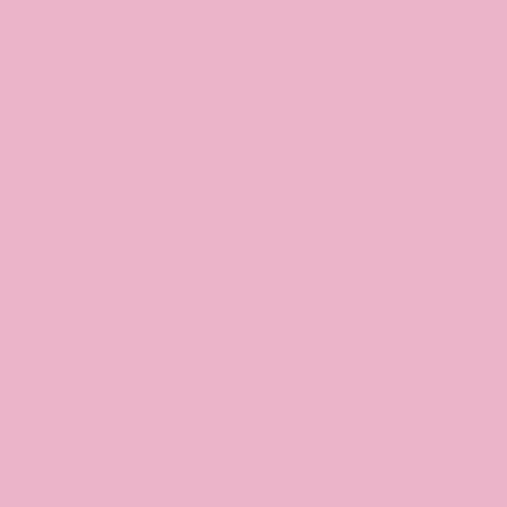 CRICUT Papier de transfert (33 cm x 91 cm, Pink, Rose)