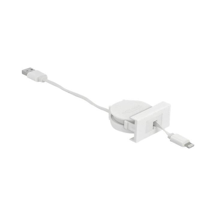 DELOCK Câble USB (Lightning, USB 2.0, 50 cm)