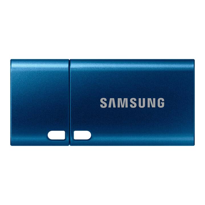 SAMSUNG MUF-256DA (256 GB, USB 3.2 Typ-C)