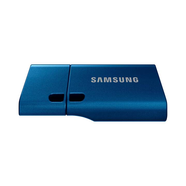 SAMSUNG MUF-256DA (256 GB, USB 3.2 Typ-C)