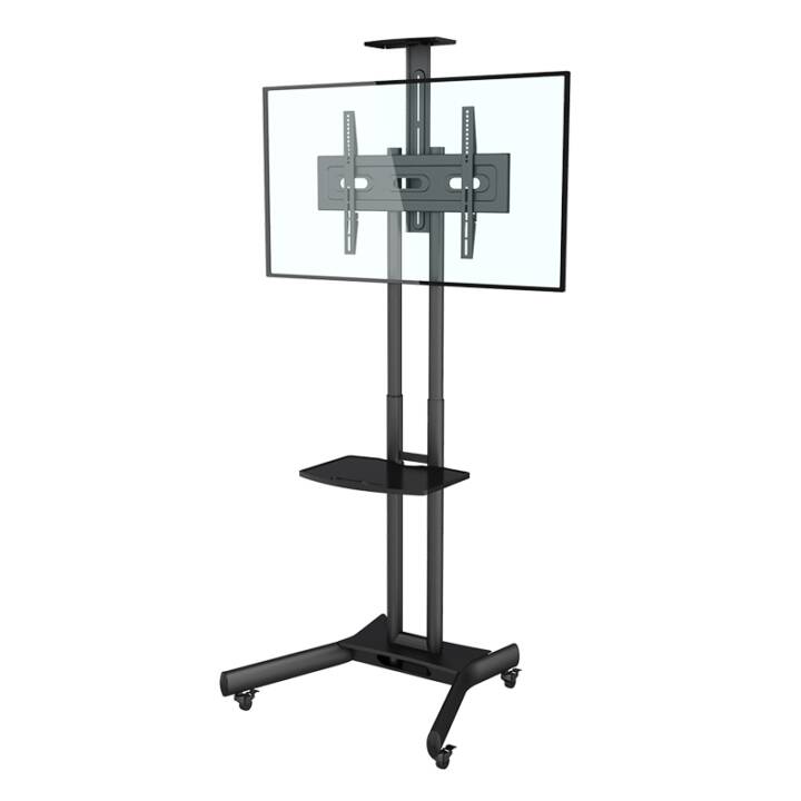 AUDIORAQ Chariot de télé M Public Floorstand Basic 150 (32" – 60")