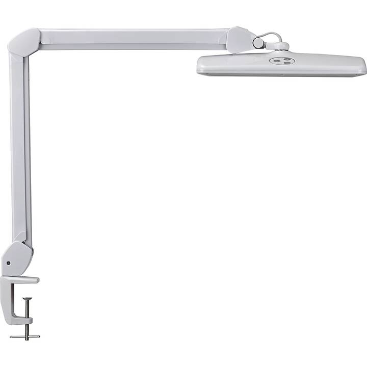 MAUL Lampe de table MAULintro (Blanc)