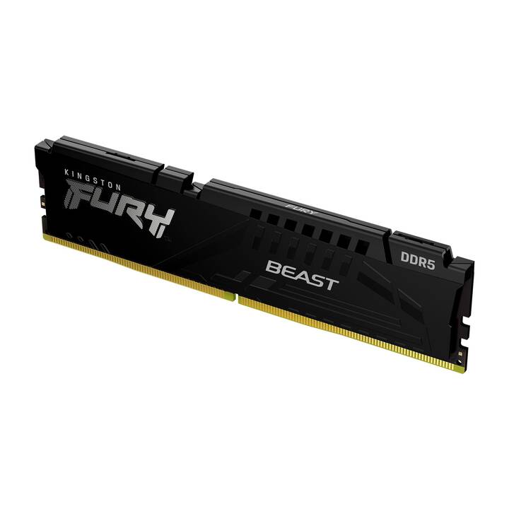 KINGSTON TECHNOLOGY Fury Beast KF560C36BBEK2-64 (2 x 32 GB, DDR5 6000 MHz, DIMM 288-Pin)