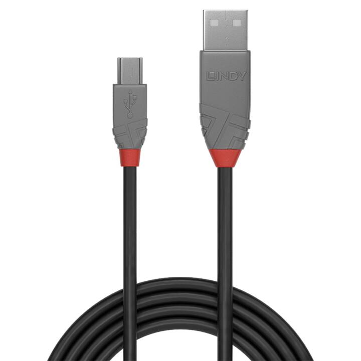 LINDY Câble USB (USB 2.0 Mini Type-B, USB 2.0 Type-A, 2 m)