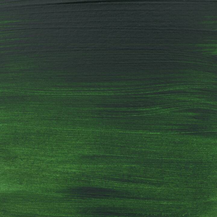 AMSTERDAM Colore acrilica (120 ml, Verde)