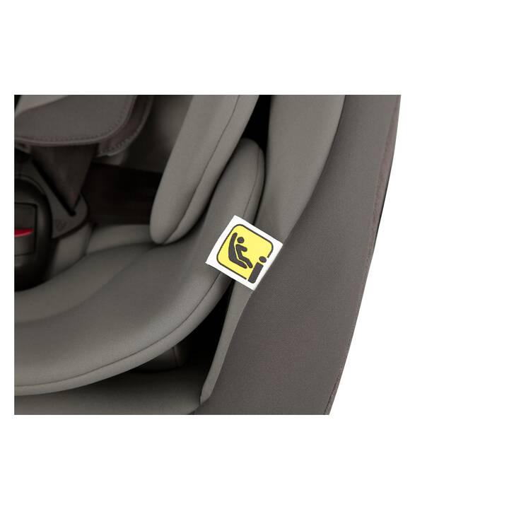 JOIE Siège auto pour enfants 360 GTi Cobblestone (Gris, Gris clair)