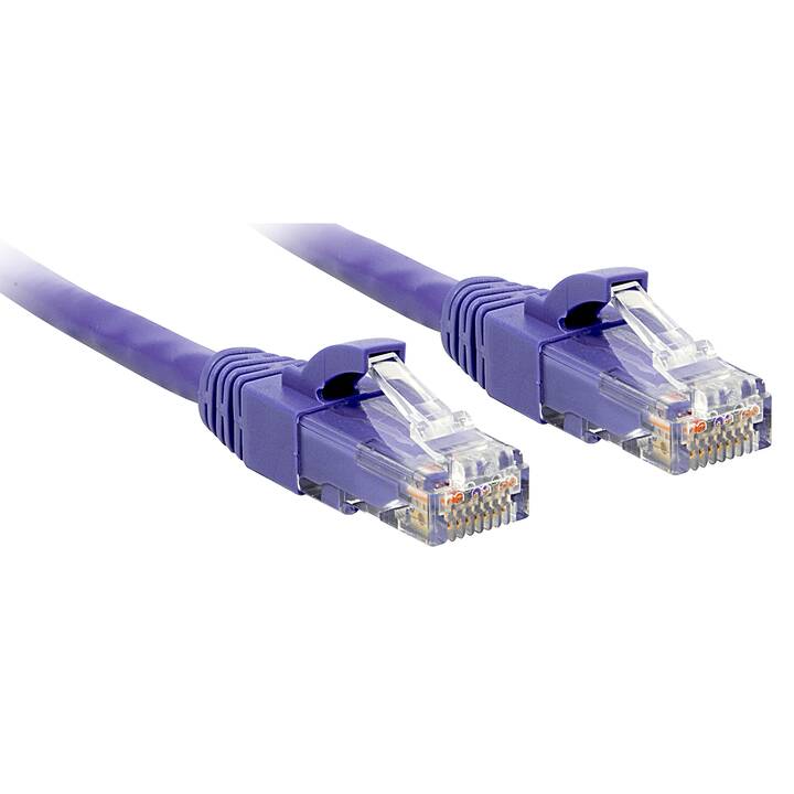 LINDY Câble réseau (RJ-45, RJ-45, 30 cm)