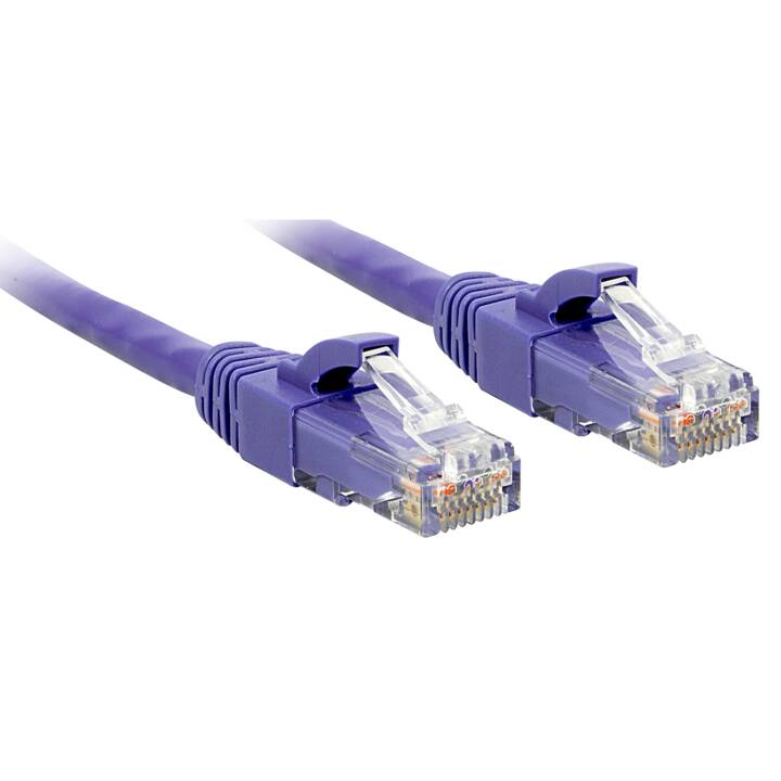 LINDY 48121 câble patch 50 cm violet