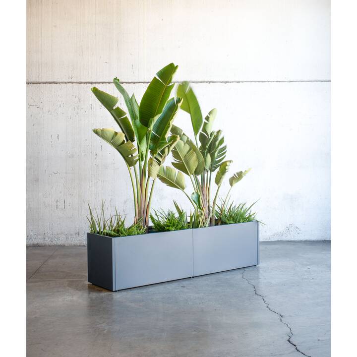 HERSTERA Jardiniere surélevée Metal Planter 50 (Anthracite, 250 l, 50 cm x 100 cm x 50 cm)