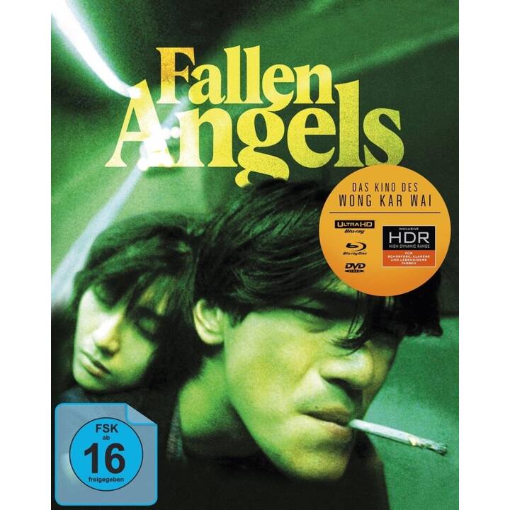 Fallen Angels (Special Edition, DE, ZH)